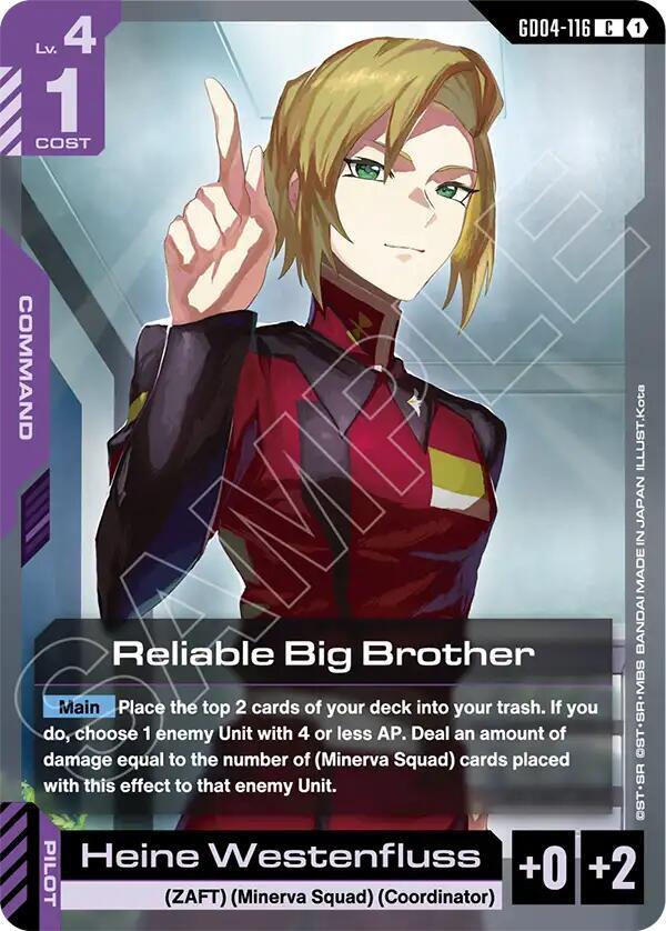 GD04-116 Reliable Big Brother