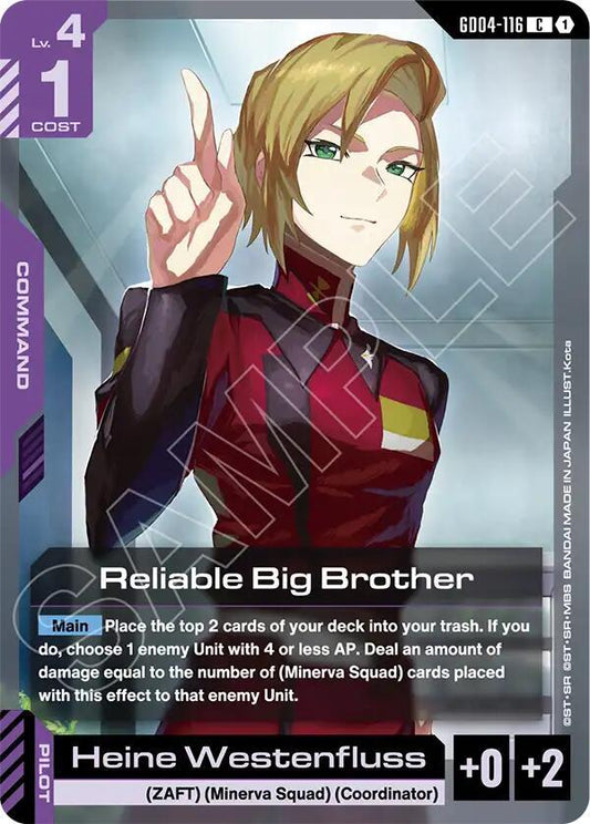 GD04-116 Reliable Big Brother